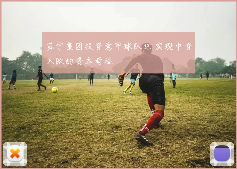 苏宁集团投资意甲球队记 实现中资入欧的资本奇迹
