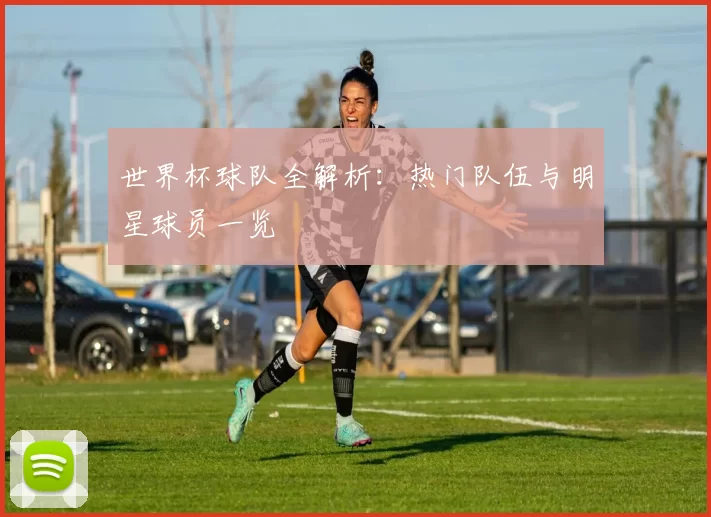 世界杯球队全解析：热门队伍与明星球员一览