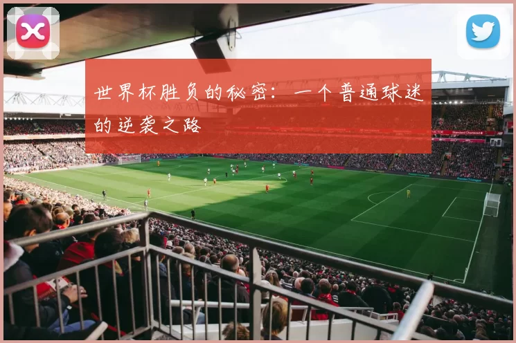 世界杯胜负的秘密:一个普通球迷的逆袭之路