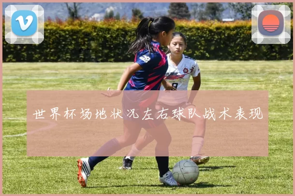 世界杯场地状况左右球队战术表现