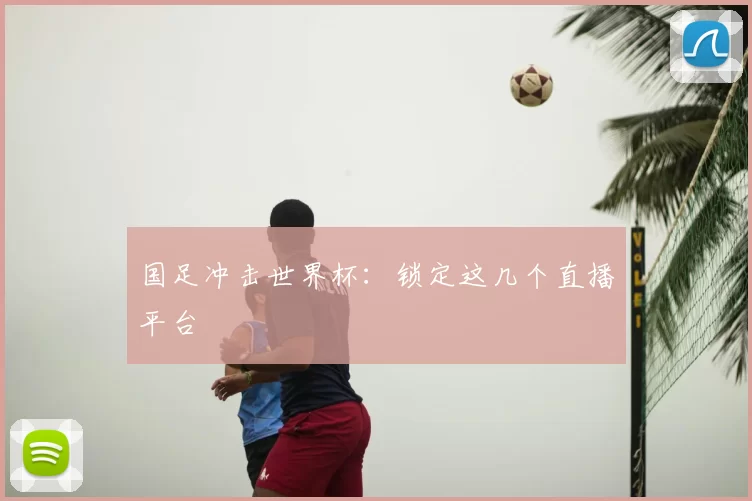 国足冲击世界杯：锁定这几个直播平台