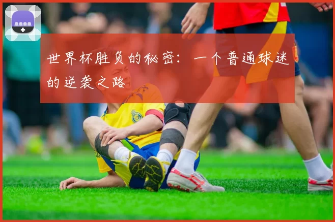 世界杯胜负的秘密：一个普通球迷的逆袭之路