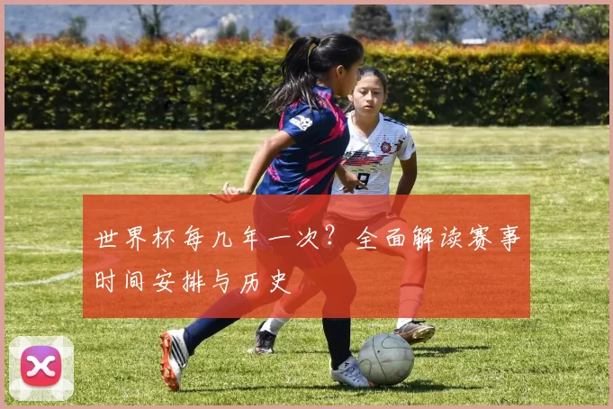 世界杯每几年一次？全面解读赛事时间安排与历史