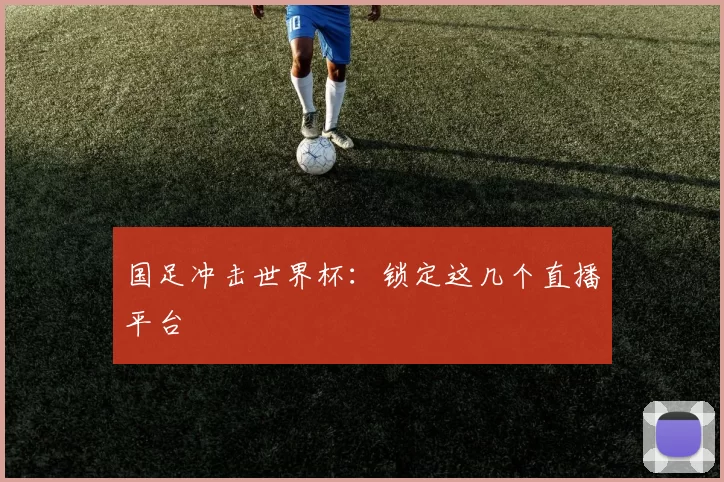 国足冲击世界杯：锁定这几个直播平台