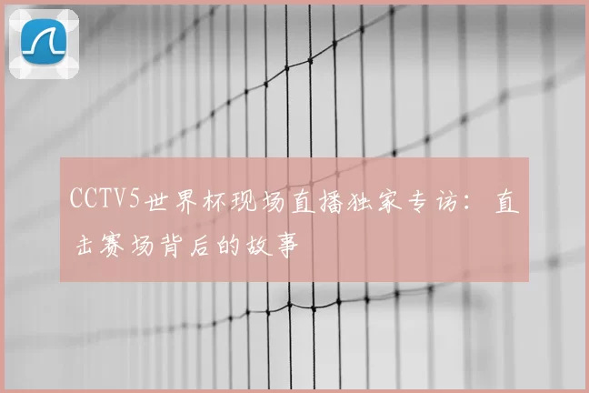 CCTV5世界杯现场直播独家专访：直击赛场背后的故事